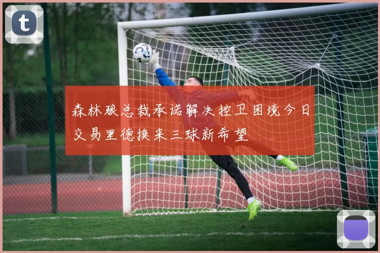森林狼总裁承诺解决控卫困境今日交易里德换来三球新希望