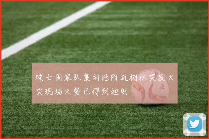 瑞士国家队集训地附近树林突发火灾现场火势已得到控制
